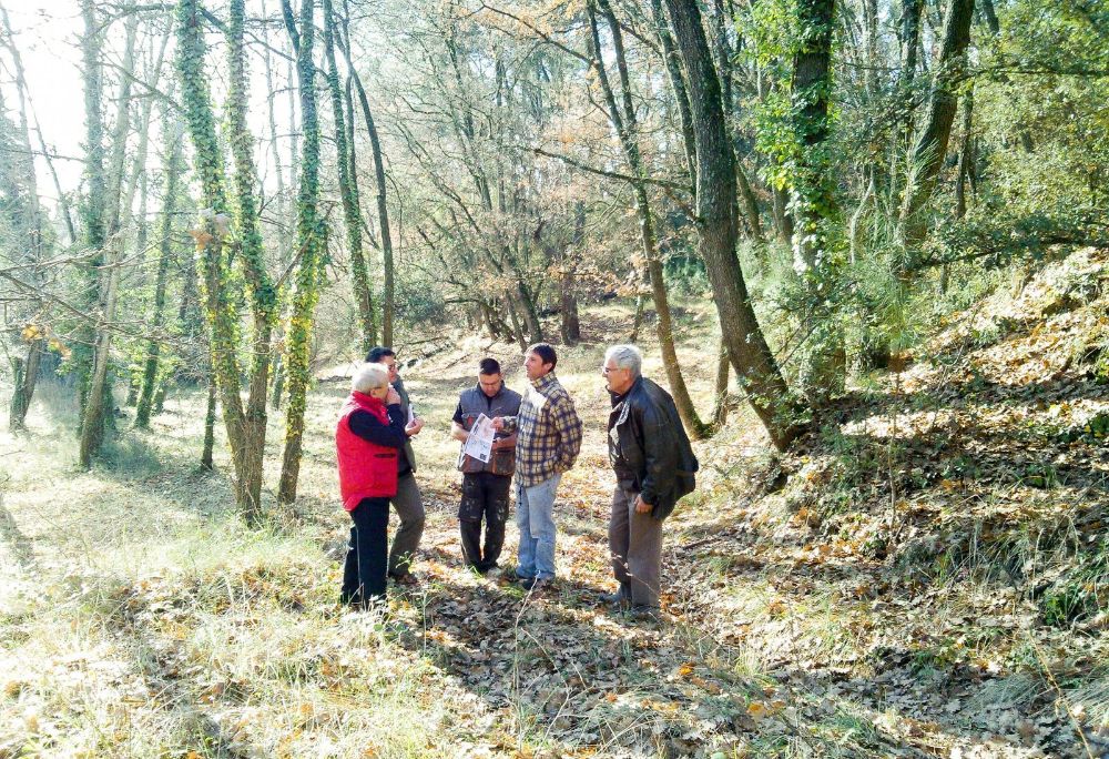 Des propriétaires discutent dans les bois