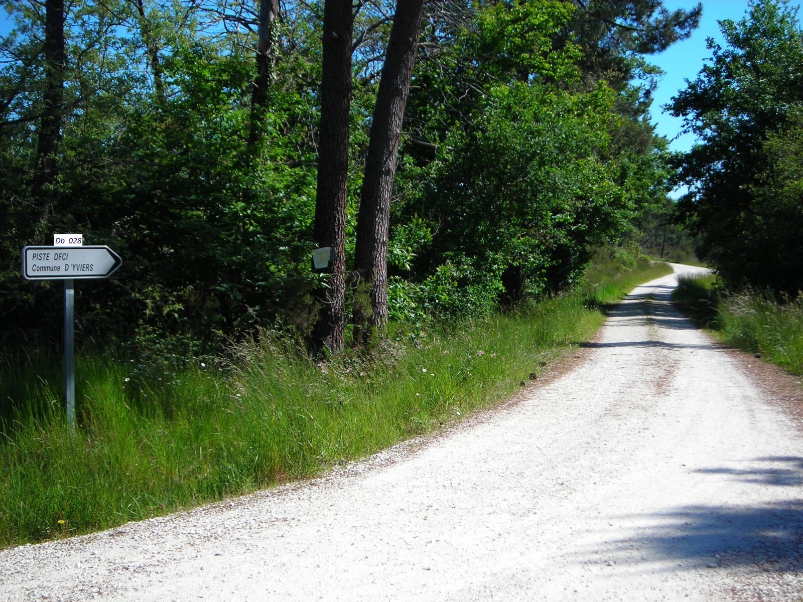 Chemin rural empierré en forêt